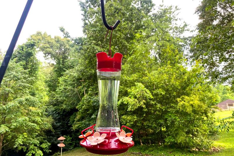 Poor Feeder Placement