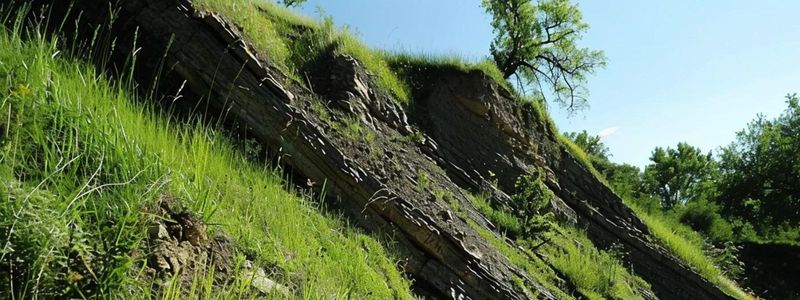 Diagnose the slope before planting anything