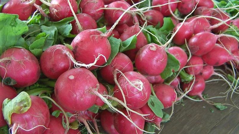 Choose faster crops when the transplant window has passed