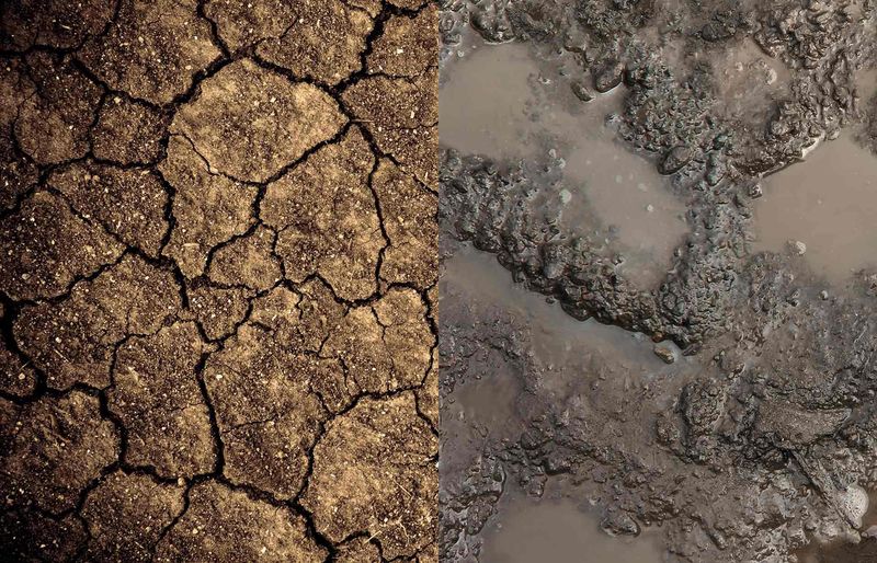 North Carolina soil can move beneath a driveway