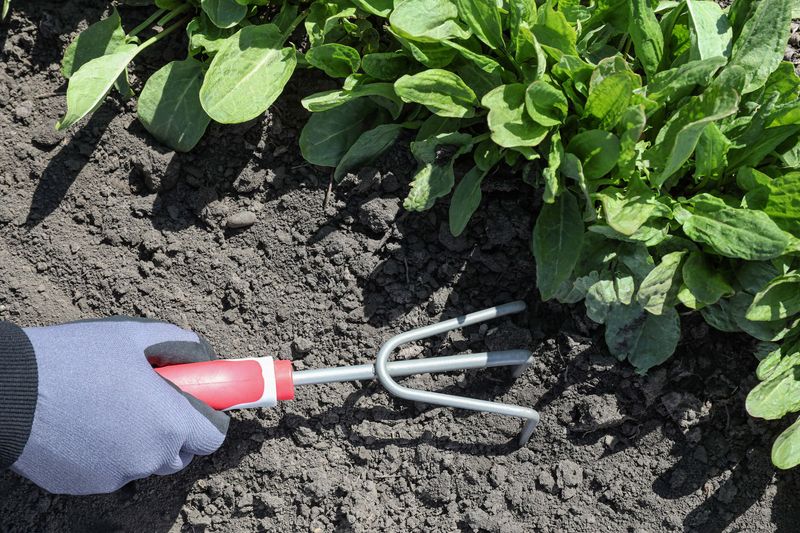 Loosen Heavy or Compacted Soil