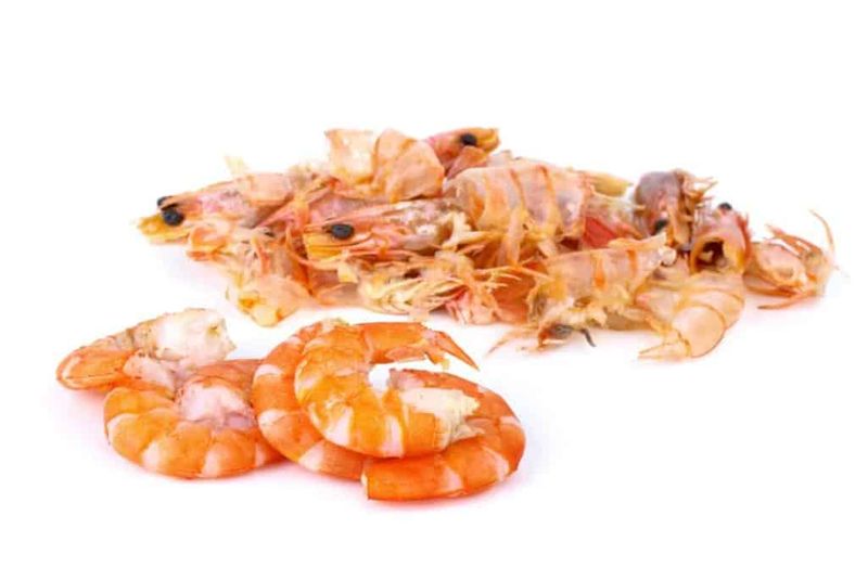 Shrimp Shells