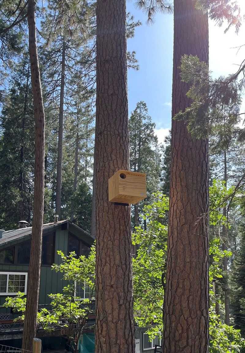 Treat an owl box as one part of a wildlife-friendly yard