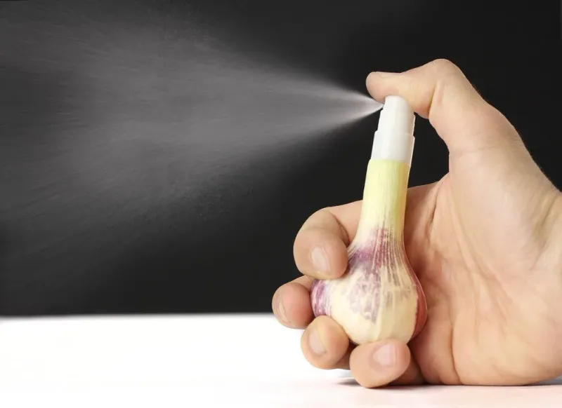 Spray a Garlic Barrier