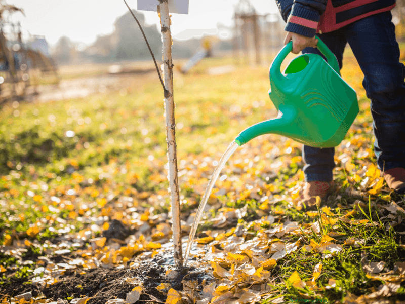 Keep Watering Until the Ground Freezes