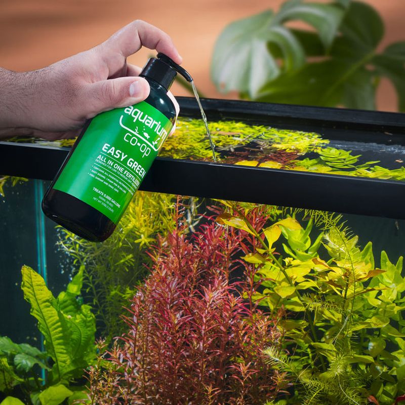 Save Your Aquarium Water