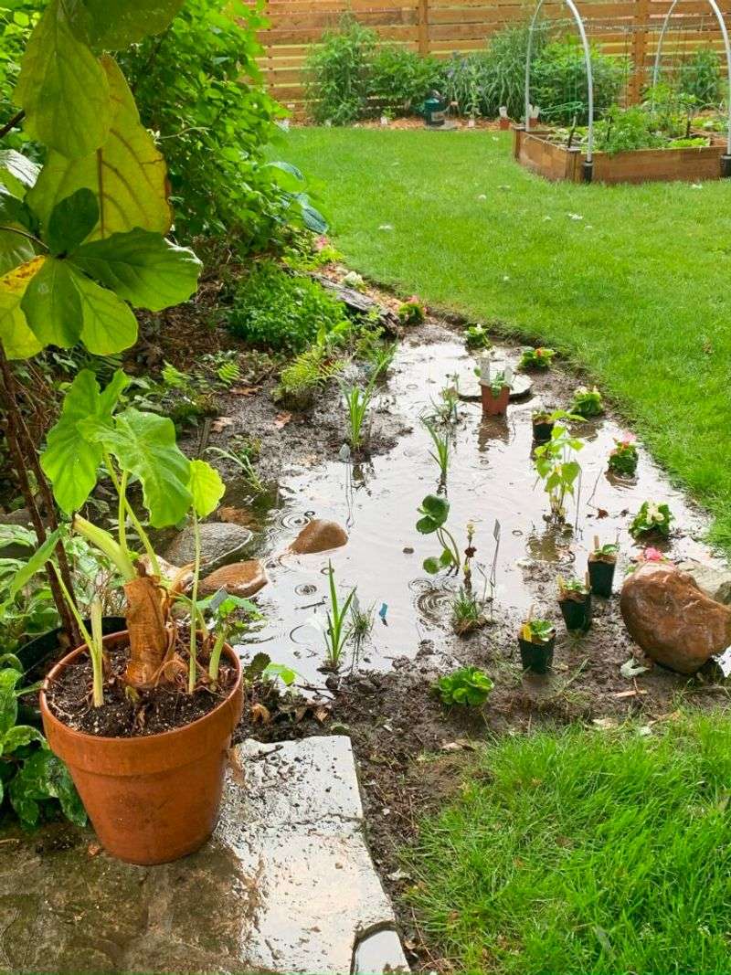 Check how wet the site stays