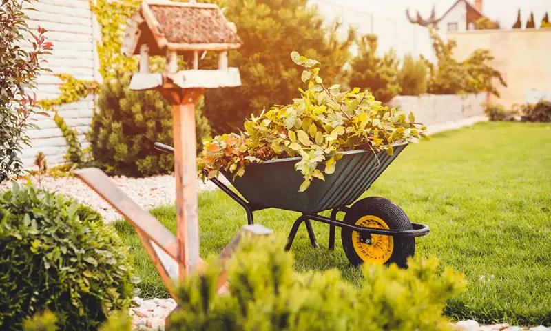 Decaying Garden Debris