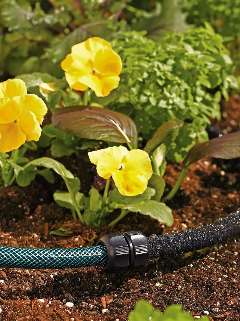 Use the water at the soil line for ornamental plants