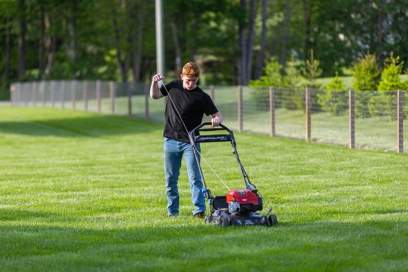 Improper Mowing Techniques