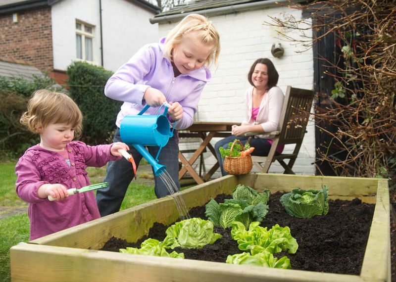 North Carolina law does not automatically override an HOA’s landscaping rules