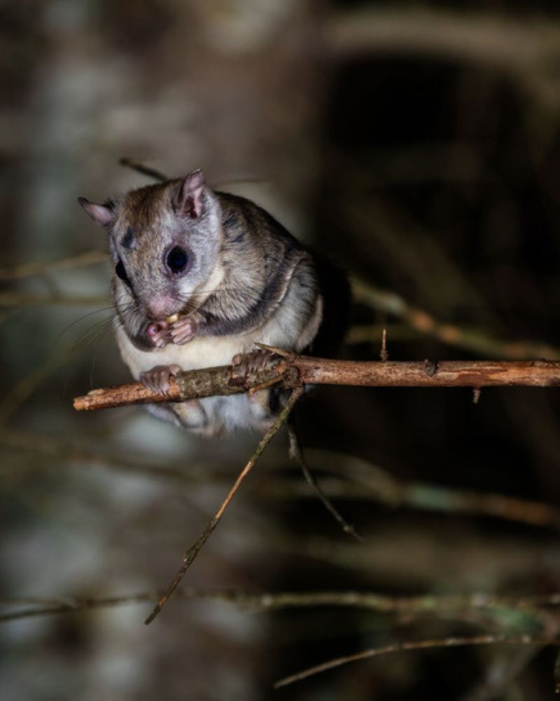 Darkness and Late Fall Are Not Unusual