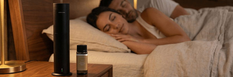 The sleep experiment tested odor, not a bedroom plant