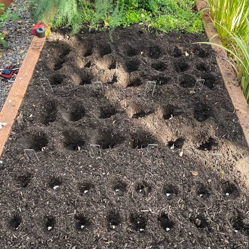 Build Loose, Well-Drained Soil