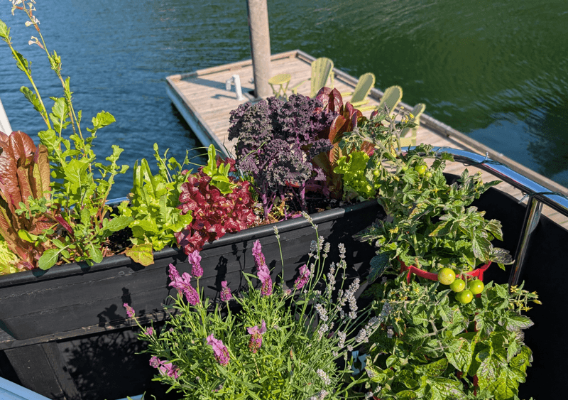 Plan for thirstier roots than the boat suggests