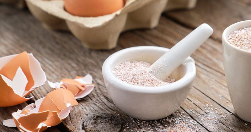 Sprinkle Crushed Eggshell Powder