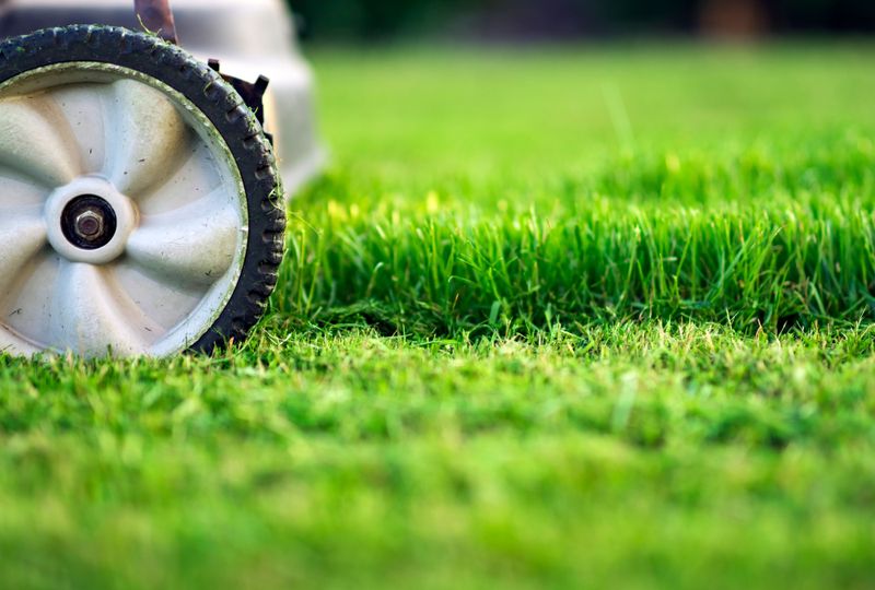 Set mowing height for the grass you have