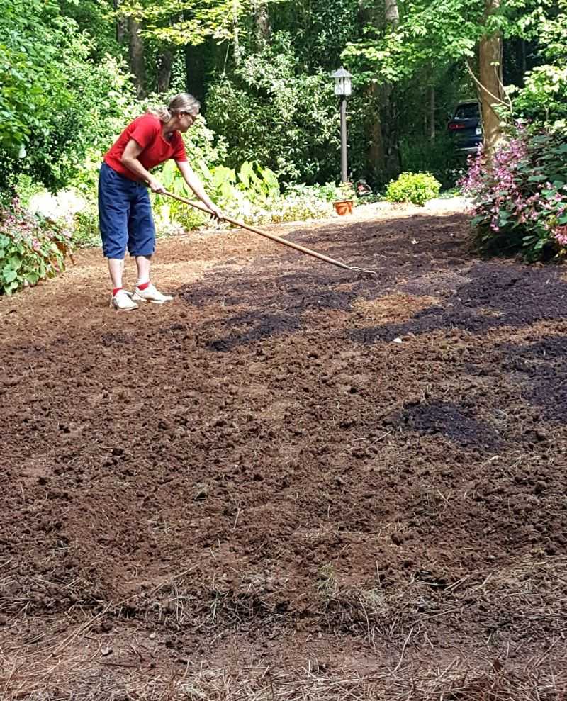 Check the site and address compaction