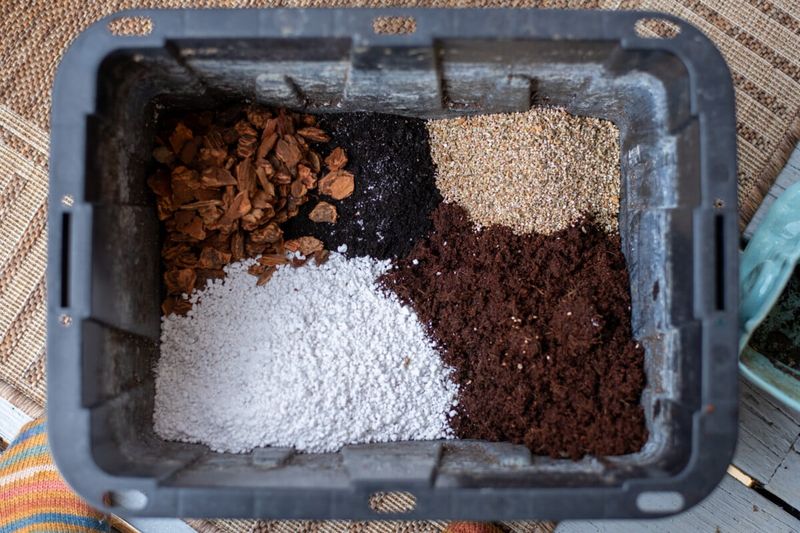Prepare a Suitable Potting Mix