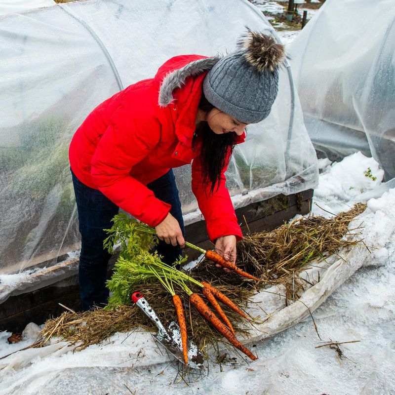 Stretch the Fall Vegetable Harvest