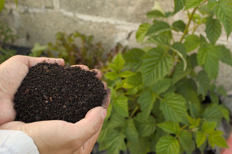 Apply Fresh Compost