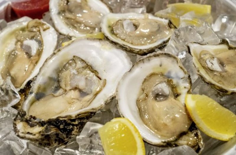 Oysters