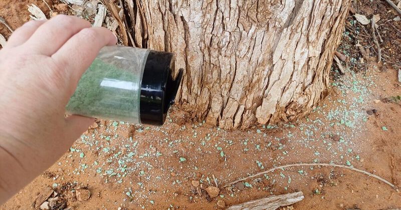 Grated Irish Spring Soap