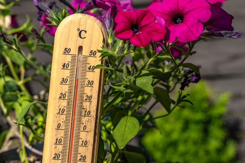 Heat Stress