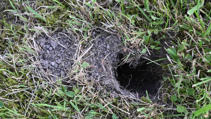 Smooth-Edged Holes