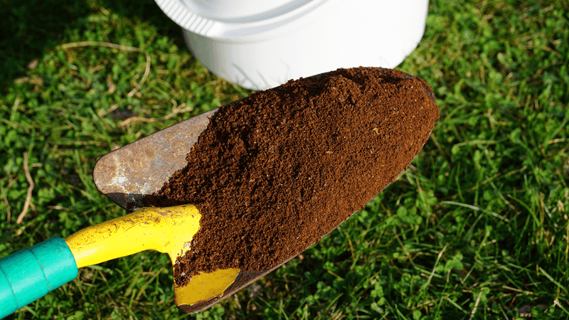Coffee Grounds