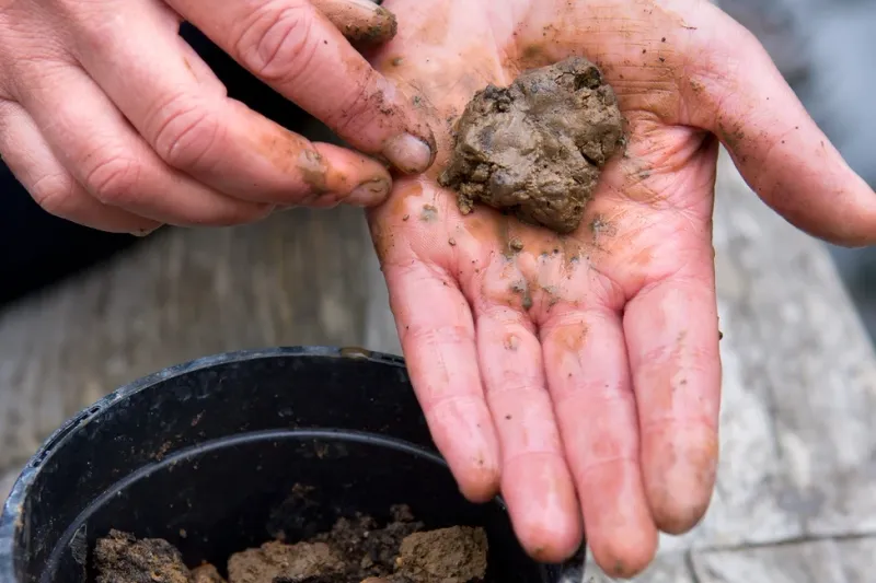 Ensure Good Drainage