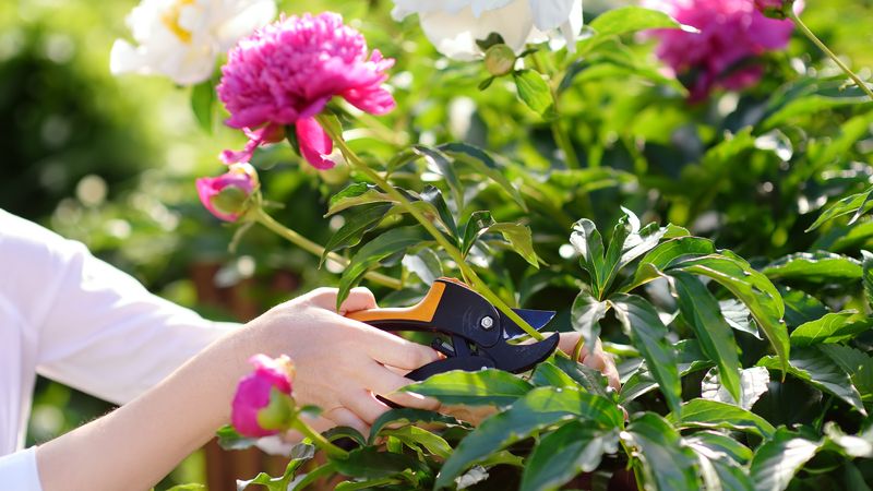 Use the simple sequence that protects future growth