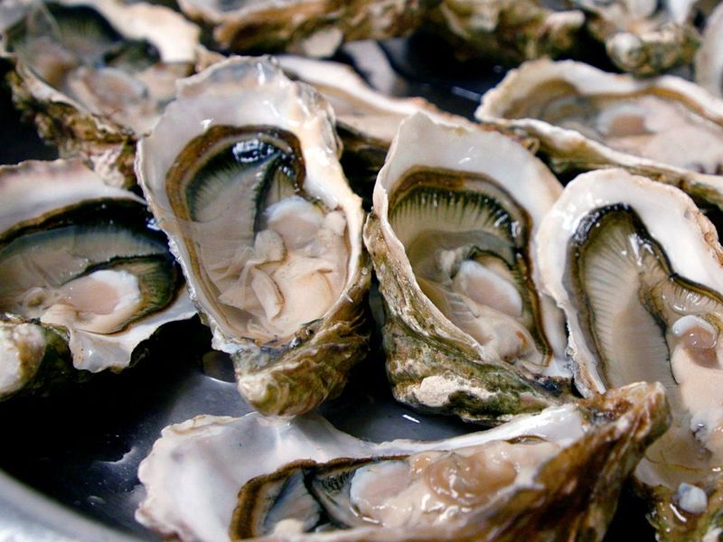 Raw Oysters and Shellfish