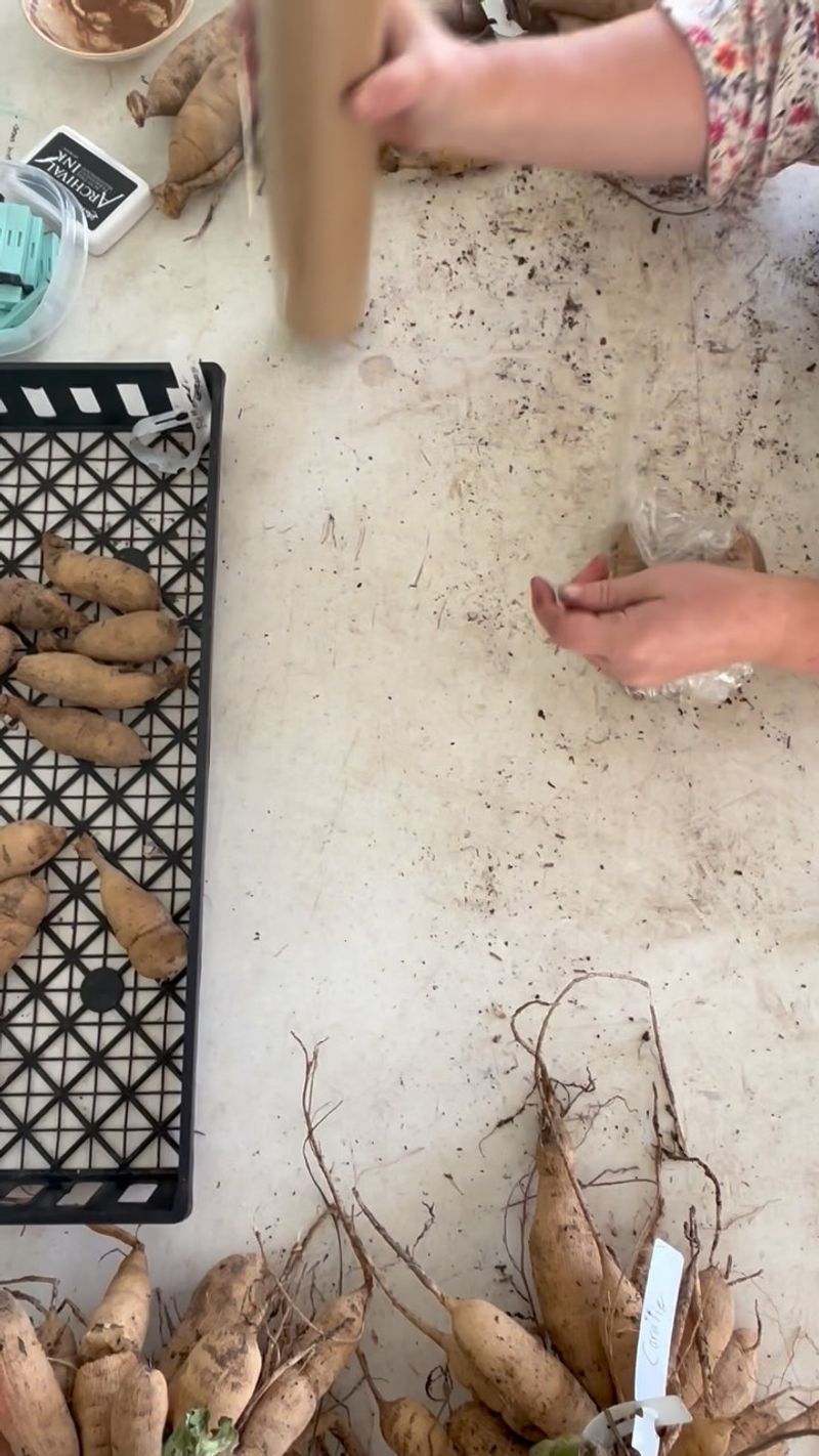 Pick Containers That Breathe