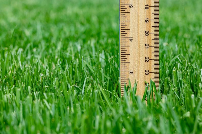 Set the mower for your grass, not a turtle-safe number