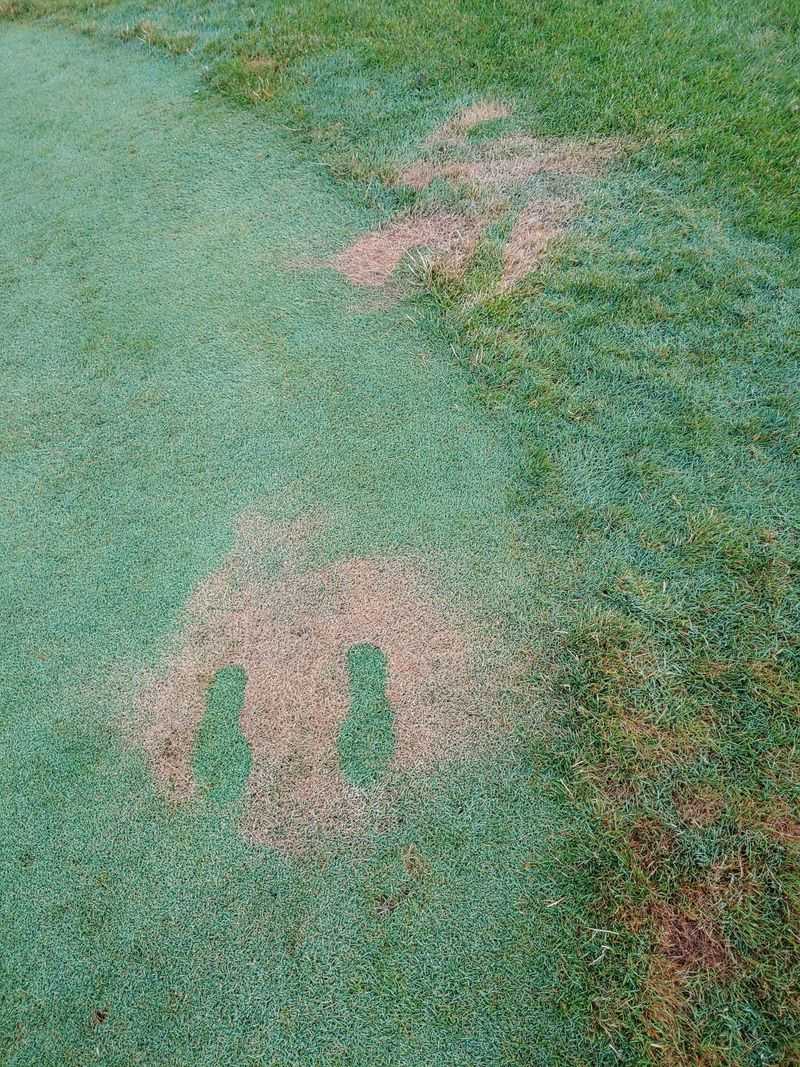 Minimize Foot Traffic