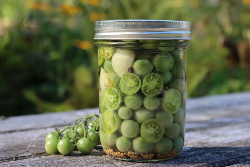 Water-Bath Canned Dilly Tomatoes