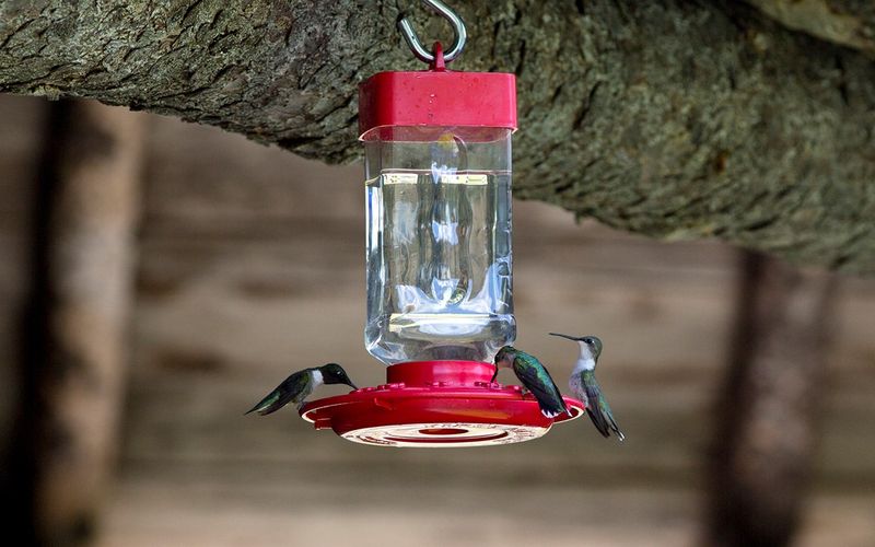 Store It in a Cool, Dry Spot