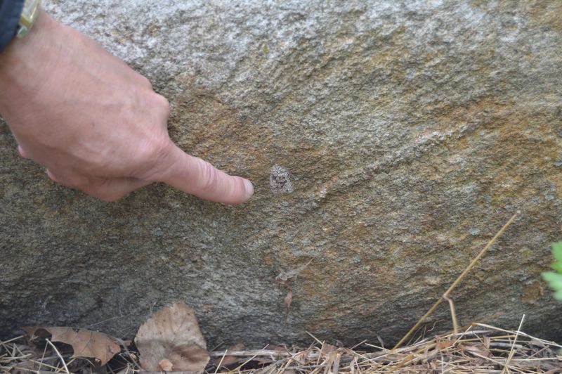 Rocks and Landscaping Stones
