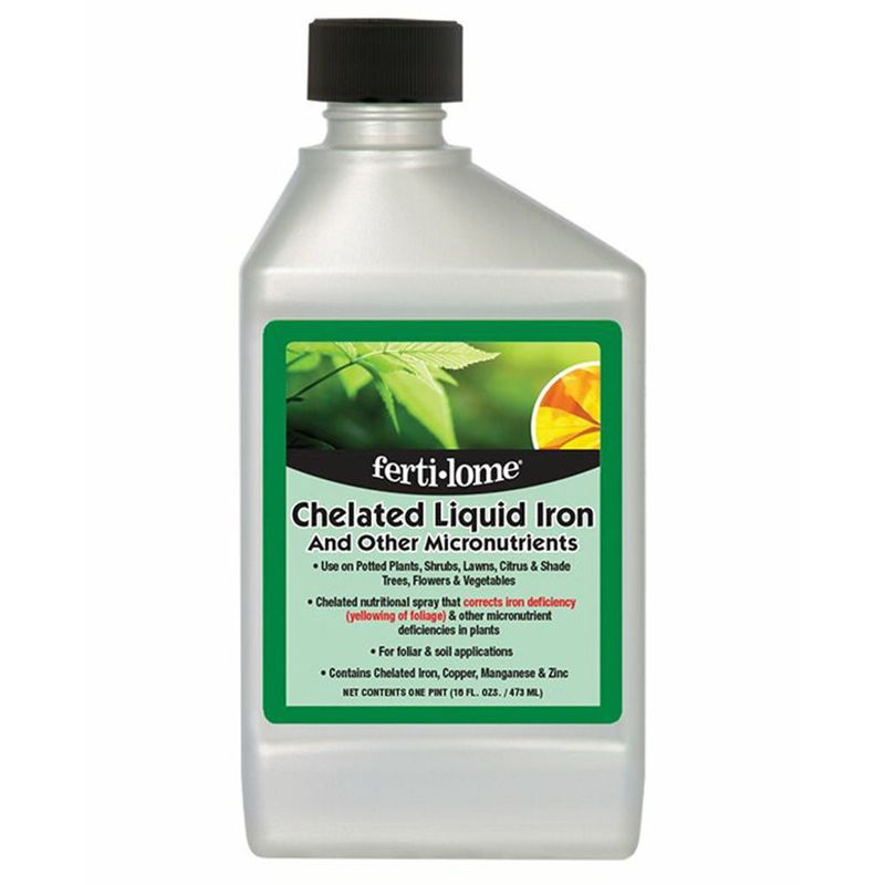 Apply Chelated Iron