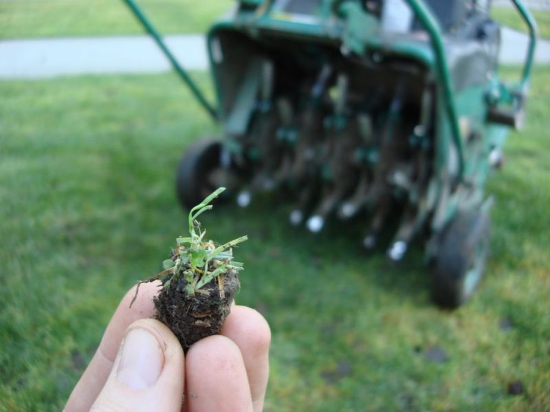 Core Aerate Compacted Soil