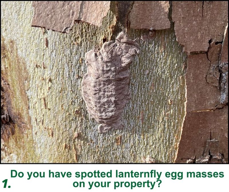 Confirm the find before you act