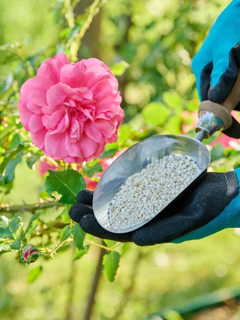 Put the Fertilizer Away