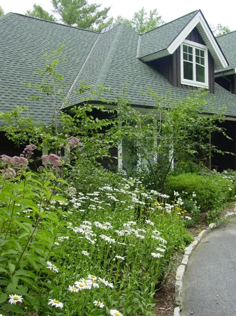 Clearing Out Damp, Shady Corners