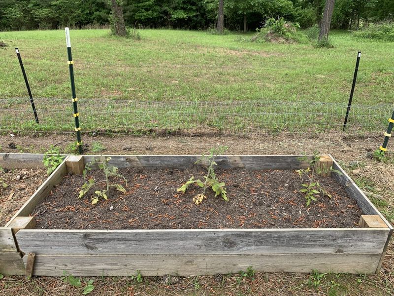 Improve Soil Drainage