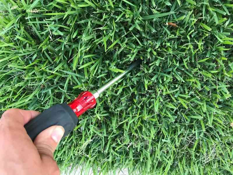Inspect the turf before renting an aerator
