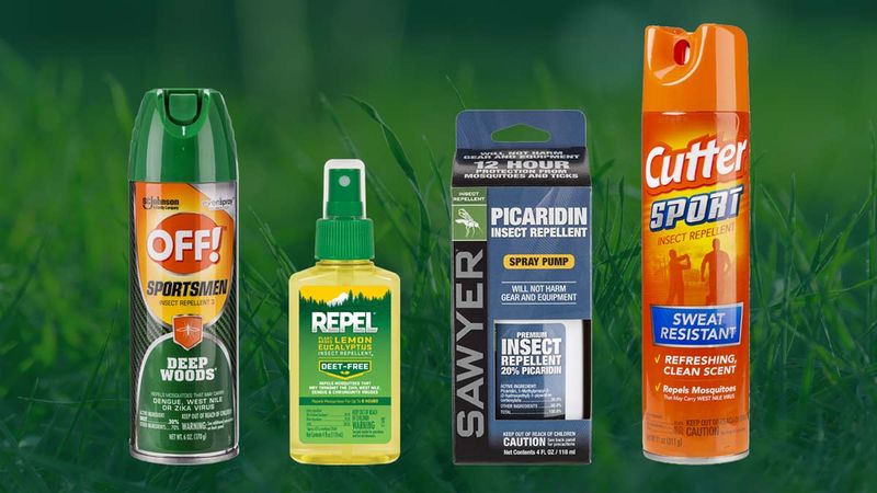Keep personal and pet protection in the plan