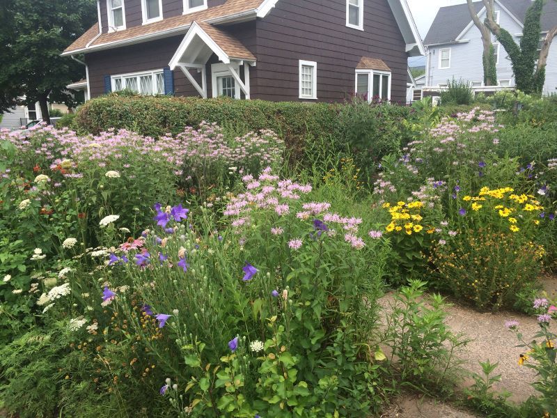 Build habitat diversity instead of buying pest control