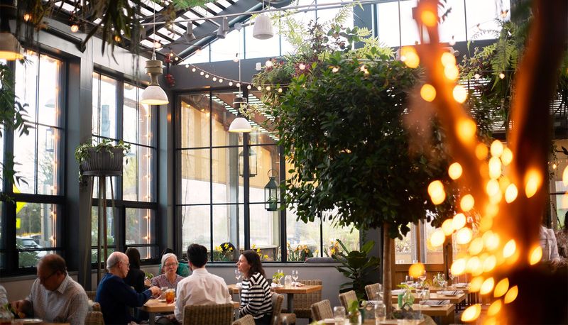 Terrain Cafe — Westport