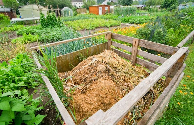 Compost Heaps or Piles